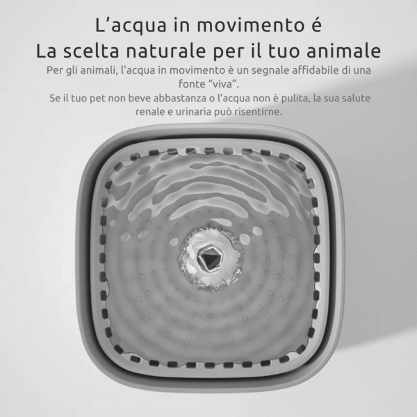 Dispenser Acqua per Animali - immagine 3
