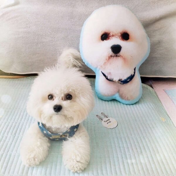 Peluche Personalizzato con Foto, 1 pezzo da 30cm - immagine 3